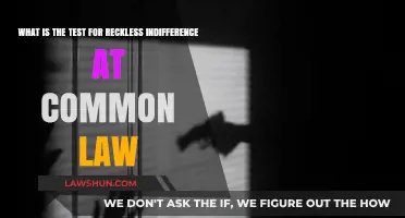 Reckless Indifference: Common Law's Test for Negligence