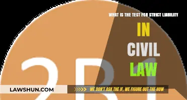 Understanding Strict Liability: Key Test in Civil Law Explained