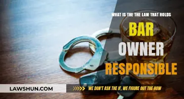 Understanding Dram Shop Laws: Bar Owner Liability Explained