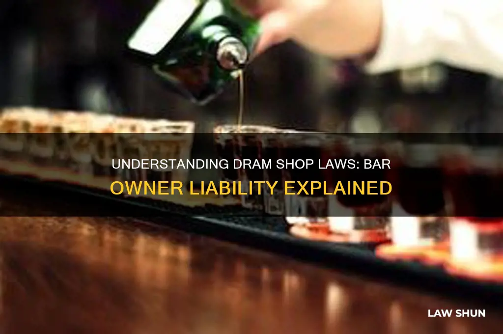 what is the the law that holds bar owner responsible