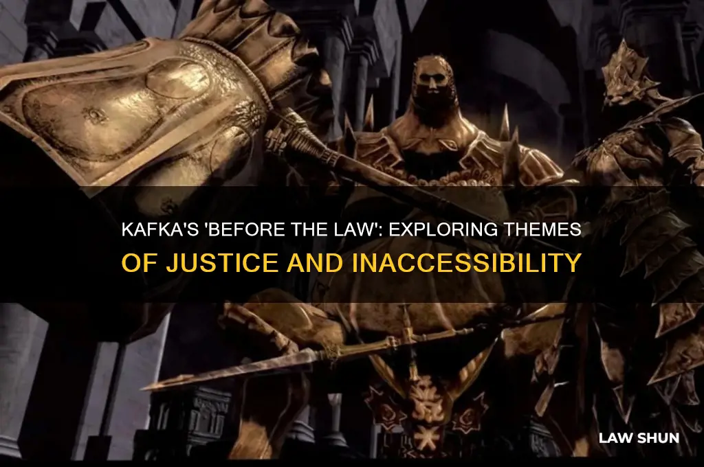 what is the theme to franz kafka before the law