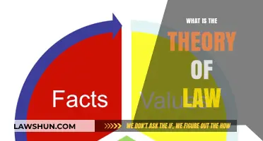 Exploring the Foundations: What is the Theory of Law?