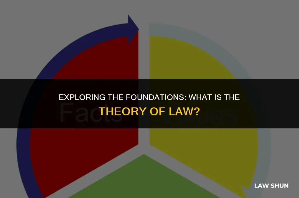 what is the theory of law