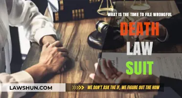 Filing a Wrongful Death Lawsuit: Understanding the Time Limits