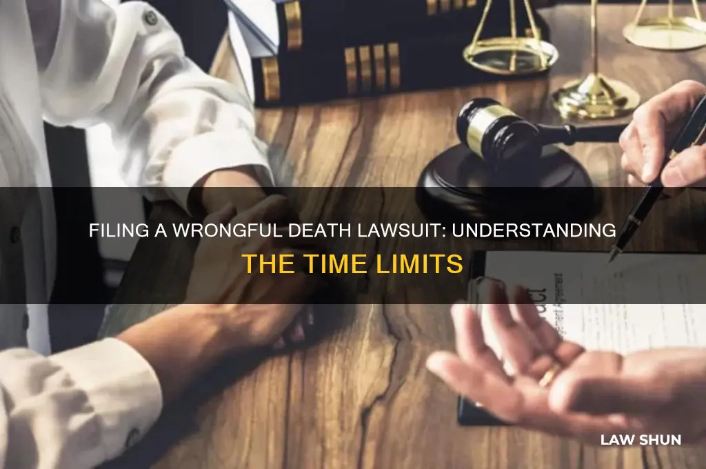 what is the time to file wrongful death law suit