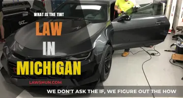 Understanding Michigan's Tint Law: Rules, Regulations, and Legal Limits