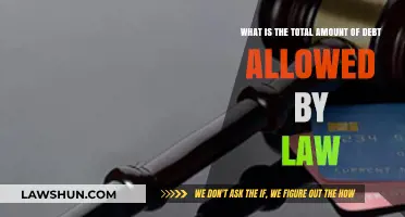 Understanding Legal Debt Limits: What the Law Allows You to Owe