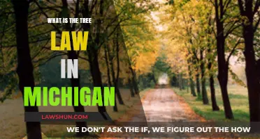 Understanding Michigan's Tree Law: Rights, Responsibilities, and Regulations