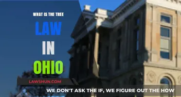 Understanding Ohio's Tree Law: Rights, Responsibilities, and Regulations Explained