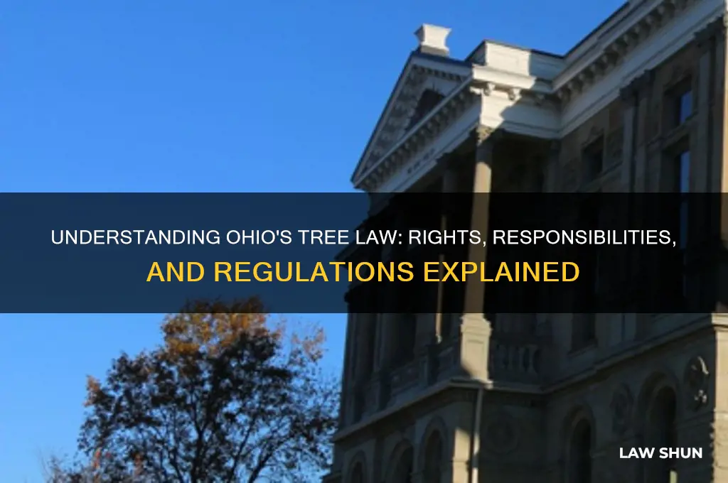 what is the tree law in ohio