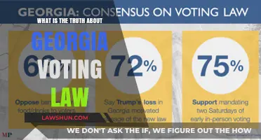 Unpacking Georgia's Voting Law: Facts, Myths, and Real Impacts