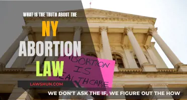 The Abortion Law: What's True in New York?