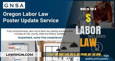 Understanding U.S. Labor Law: Rights, Regulations, and Workplace Protections