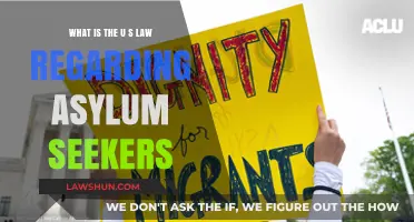 Understanding U.S. Asylum Laws: Rights, Process, and Protections for Seekers
