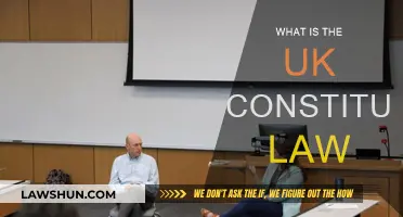 UK Constitution Law: Understanding the Fundamentals