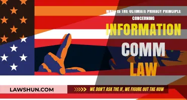 Ultimate Privacy Principle: Safeguarding Data in Information Communication Law