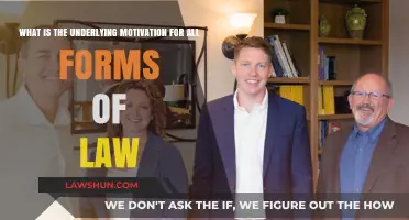 Exploring the Core Purpose: Why Laws Exist and Persist