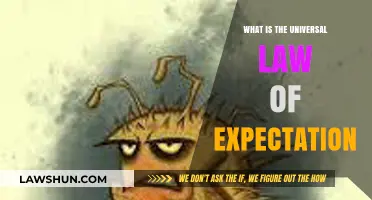 The Power of Expectation: Universal Law of Attraction