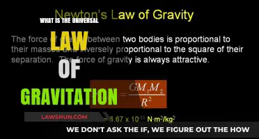 The Law of Gravity: A Universal Attraction