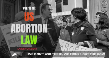 US Abortion Law: Understanding the Complex Legal Landscape