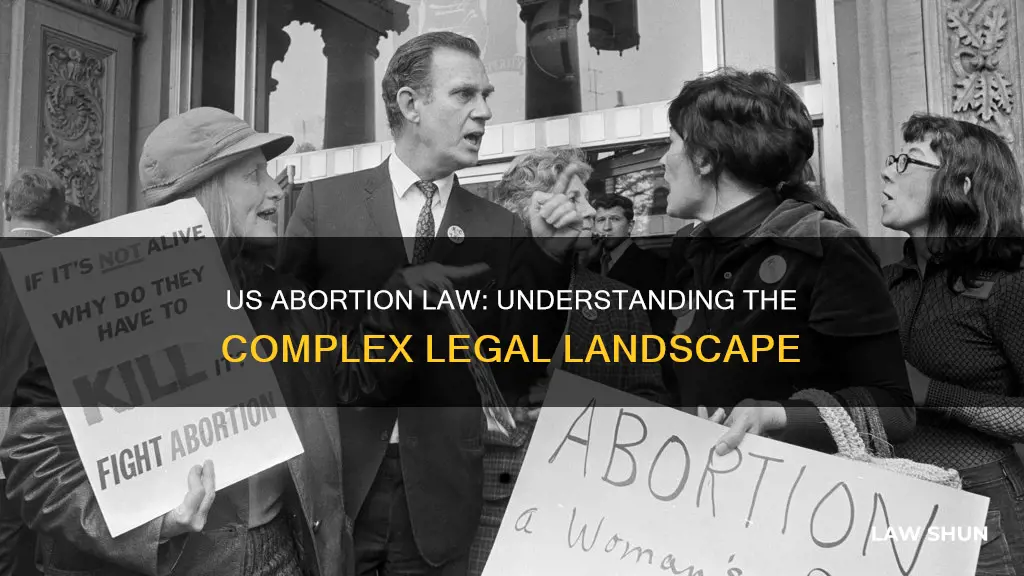 what is the us abortion law