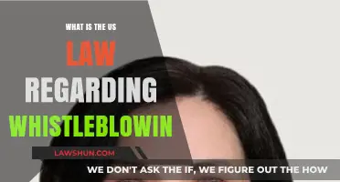Understanding US Whistleblower Laws: Protections, Rights, and Legal Framework