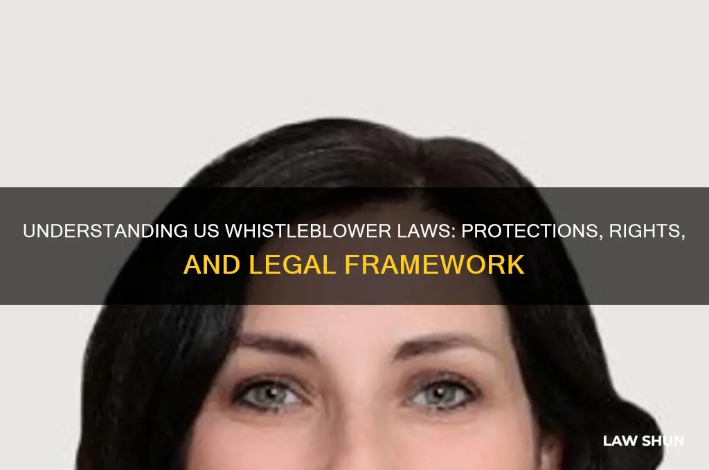 what is the us law regarding whistleblowing