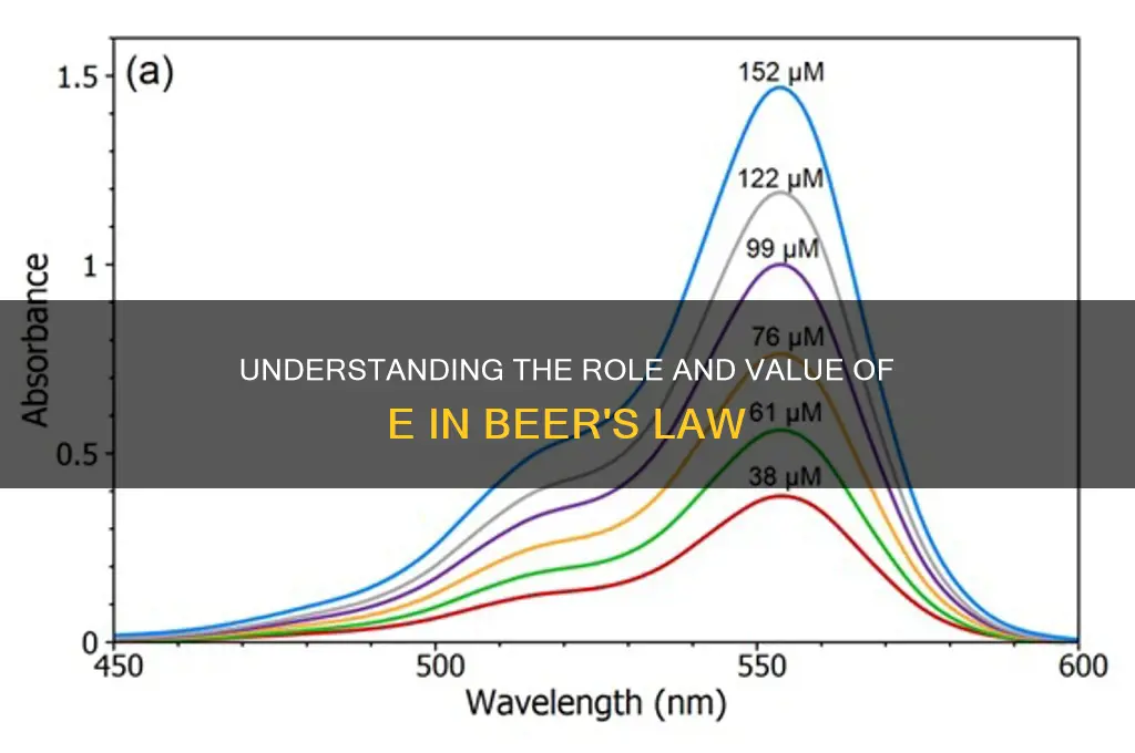 what is the value of e in beer
