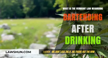 Vermont Bartending Laws: Can You Serve Alcohol After Drinking?