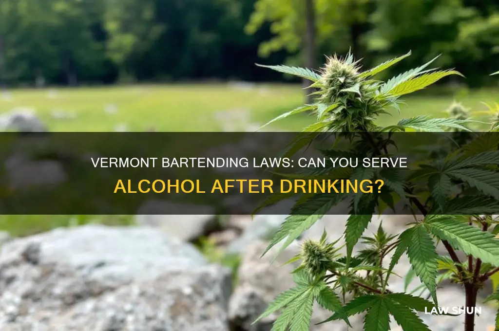 what is the vermont law regarding bartending after drinking
