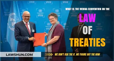 Understanding the Vienna Convention on the Law of Treaties
