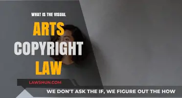 Understanding Visual Arts Copyright Law: Protecting Creative Works Legally