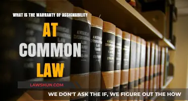 Common Law Assignability: What's the Warranty?