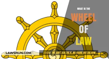 Understanding the Wheel of Law: A Comprehensive Guide