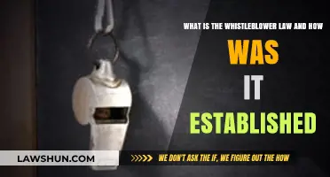 Whistleblower Law: Origins, Protections, and Establishment Explained