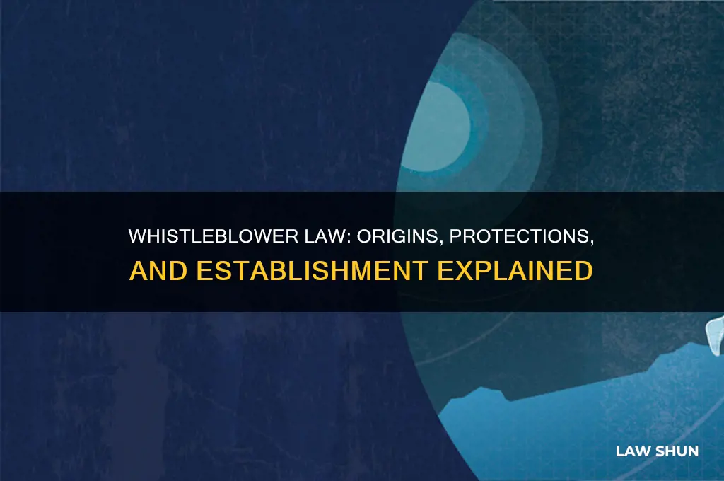 what is the whistleblower law and how was it established