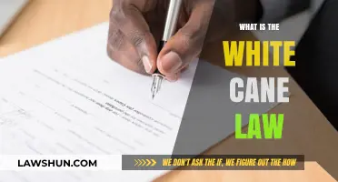 Understanding the White Cane Law: Rights and Accessibility