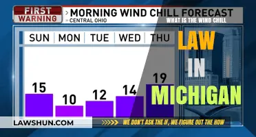 Understanding Michigan's Wind Chill Law: Safety Measures and Regulations