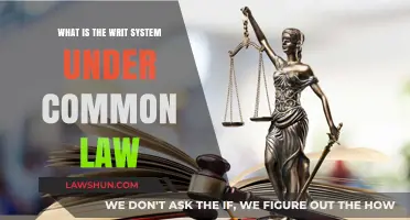 Understanding the Writ System in Common Law