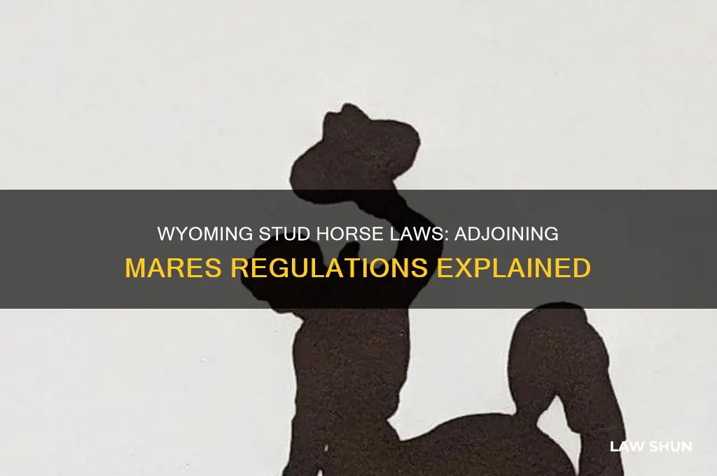 what is the wyoming law on stud horses adjoining mares