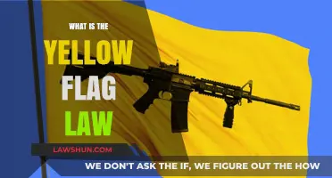 Understanding the Yellow Flag Law: A Comprehensive Guide
