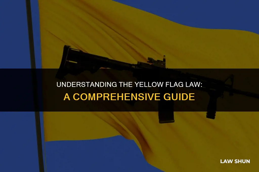 what is the yellow flag law
