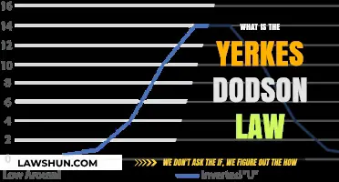 Exploring the Yerkes-Dodson Law: Optimal Arousal for Peak Performance