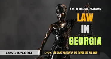 Georgia's Zero Tolerance Law: Understanding Strict DUI Penalties for Minors