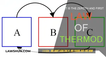 Fundamental Laws of Thermodynamics: Zeroth and First Law Explained