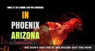 Phoenix Zoning Laws: Keeping Chickens in the City