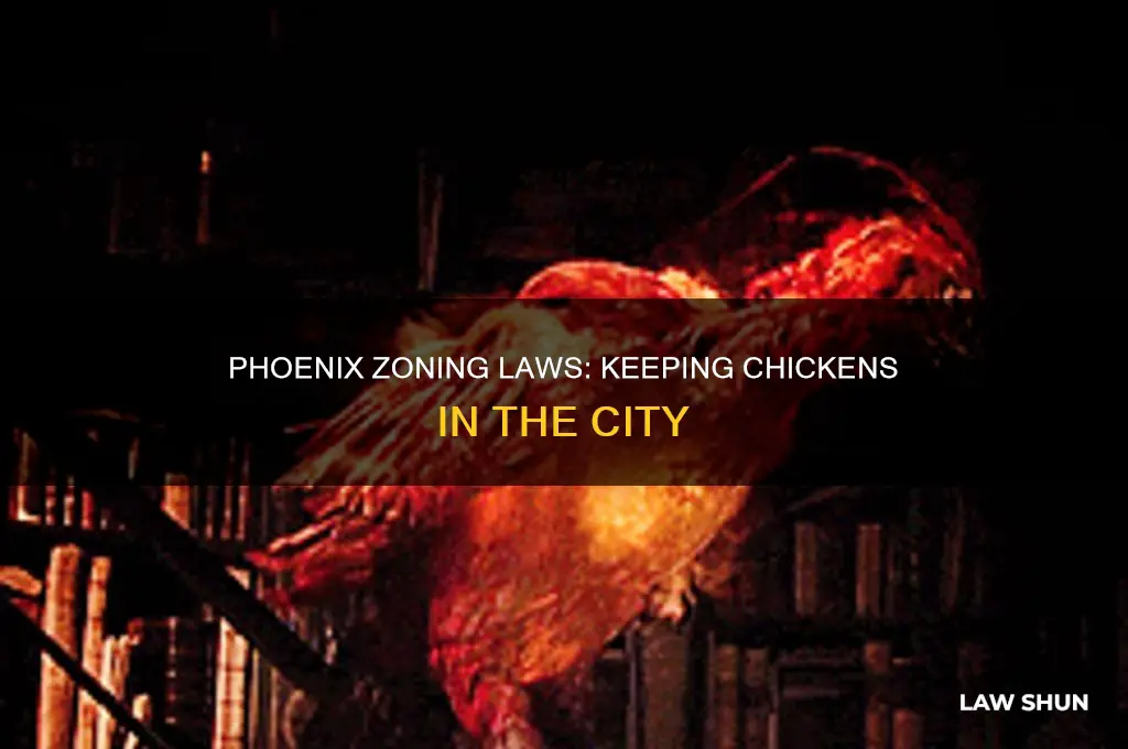 what is the zoning law for chickens in phoenix arizona