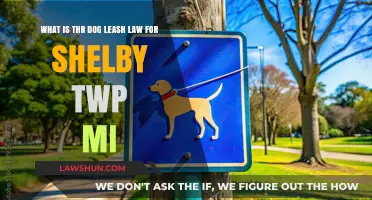 Shelby Twp MI Dog Leash Law: Understanding Local Regulations