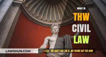 Understanding Civil Law: Principles, Applications, and Legal Framework Explained