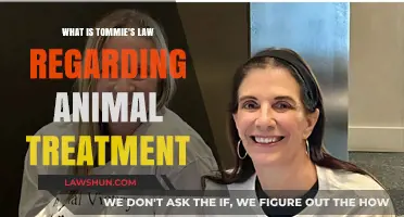 Understanding Tommie's Law: Protecting Animals from Cruelty and Neglect